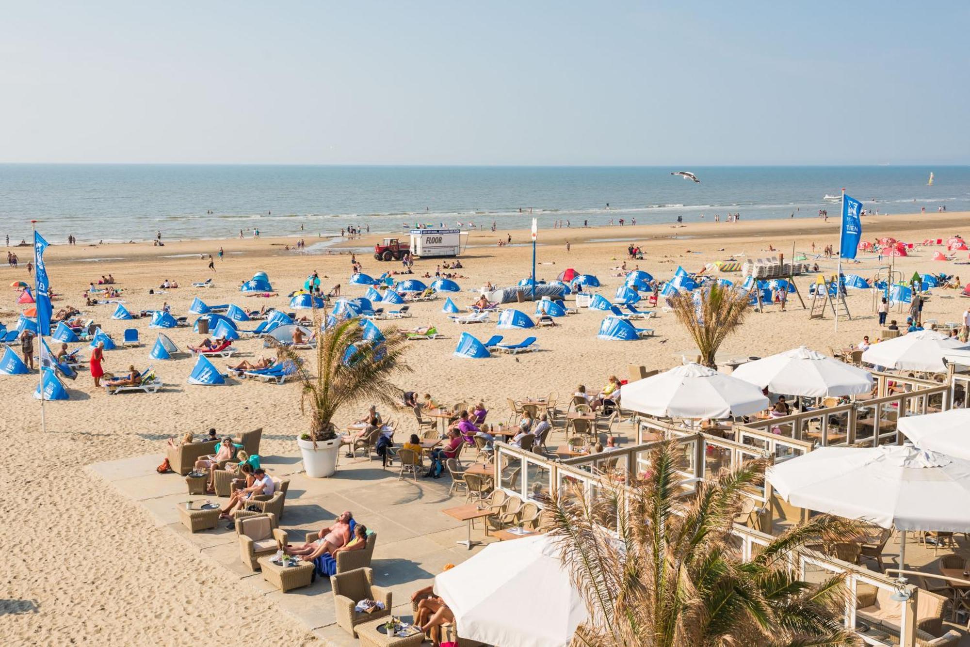 Seawave Studio Zandvoort Eksteriør bilde